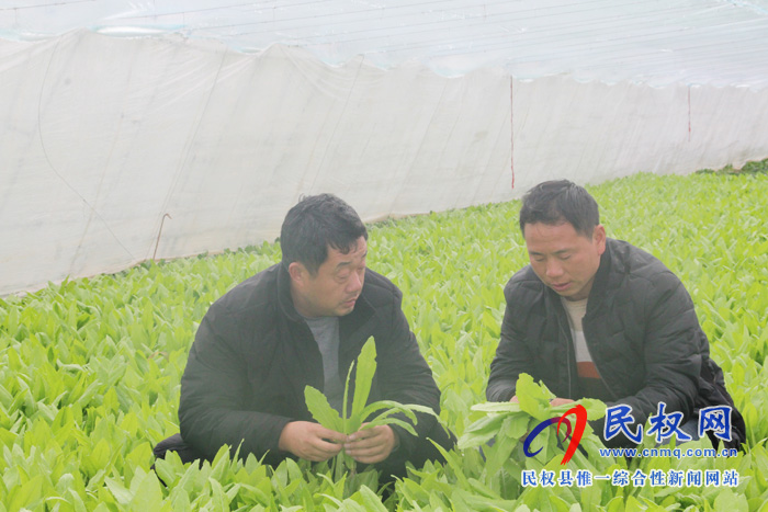民權(quán)縣林七鄉(xiāng):為返鄉(xiāng)創(chuàng)業(yè)保駕護(hù)航 民權(quán)縣林七鄉(xiāng):為返鄉(xiāng)創(chuàng)業(yè)保駕護(hù)航