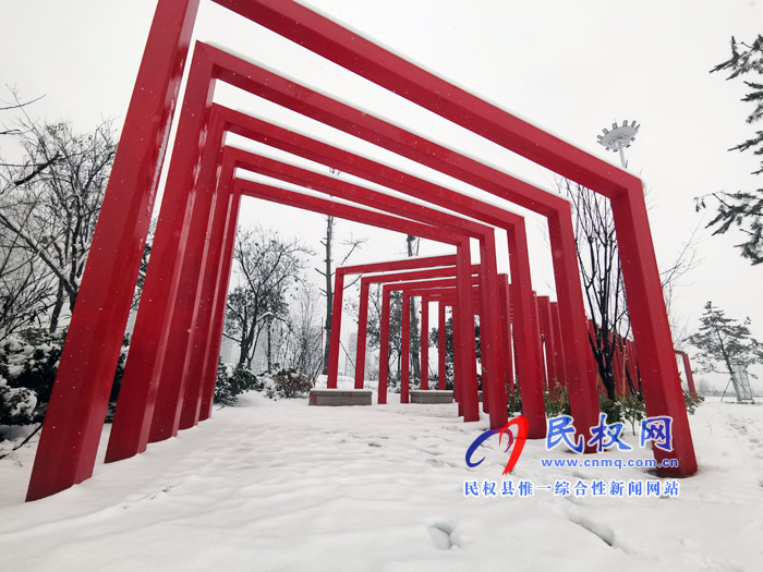 圖說|河南民權(quán)：2020年的第一場(chǎng)雪，太美了吧!