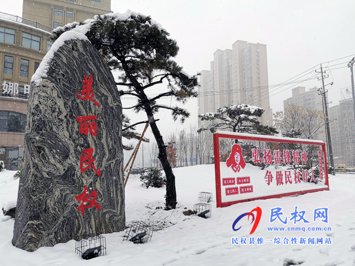 圖說|河南民權(quán)：2020年的第一場(chǎng)雪，太美了吧!