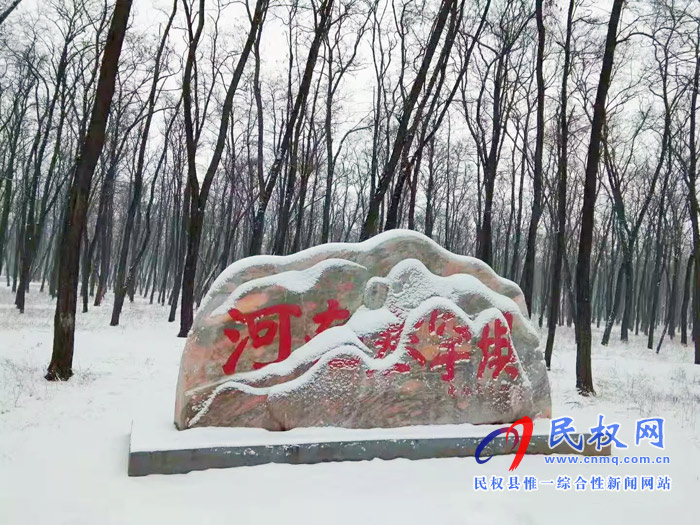 圖說|河南民權(quán)：2020年的第一場(chǎng)雪，太美了吧!