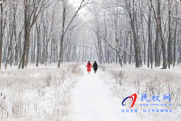 圖說|河南民權(quán)：2020年的第一場(chǎng)雪，太美了吧!