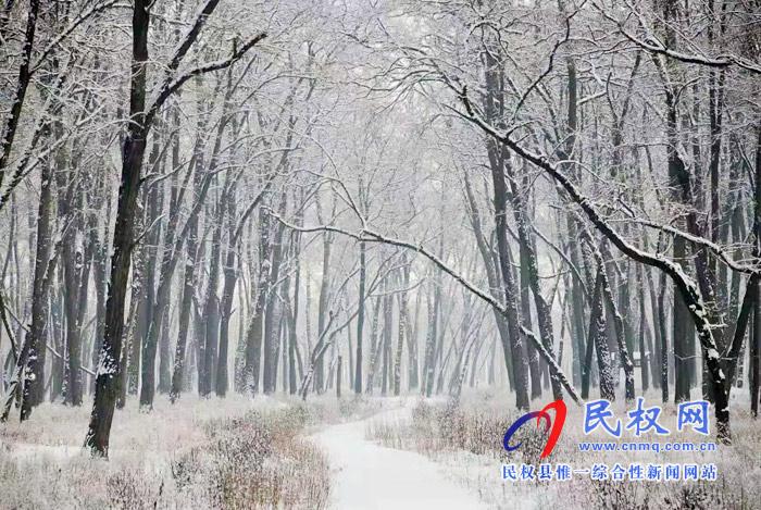 圖說|河南民權(quán)：2020年的第一場(chǎng)雪，太美了吧!