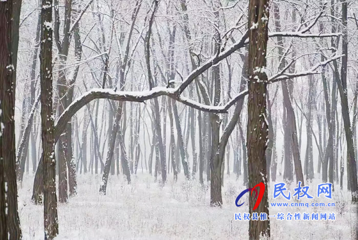 圖說|河南民權(quán)：2020年的第一場(chǎng)雪，太美了吧!