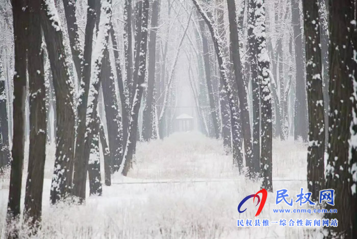 圖說|河南民權(quán)：2020年的第一場(chǎng)雪，太美了吧!