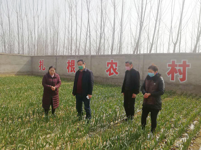 市農(nóng)村農(nóng)業(yè)局黨組成員、總農(nóng)藝師蒞民查看基層區(qū)域站服務(wù)春季農(nóng)業(yè)生產(chǎn)情況