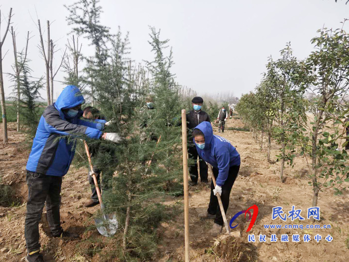 雙塔鎮(zhèn):疫情防控不松勁 植樹(shù)造林不誤時(shí) 雙塔鎮(zhèn):疫情防控不松勁 植樹(shù)造林不誤時(shí)