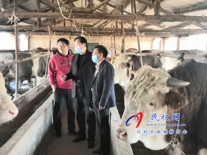 縣畜牧局在牛場現(xiàn)場辦公 縣畜牧局在牛場現(xiàn)場辦公