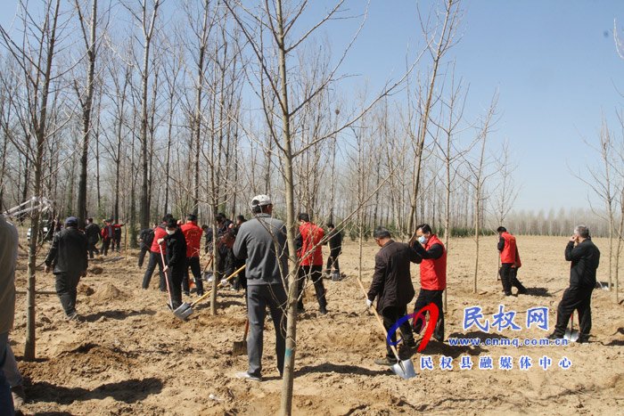 市人大常委會在民權(quán)國家森林公園舉辦民主法治生態(tài)建設(shè)主題植樹活動 市人大常委會在民權(quán)國家森林公園舉辦民主法治生態(tài)建設(shè)主題植樹活動