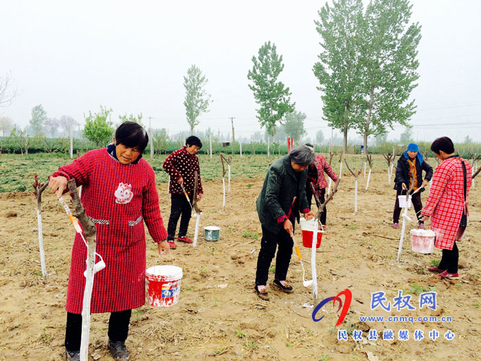 花園鄉(xiāng)加強(qiáng)樹木管護(hù)確保成活率 花園鄉(xiāng)加強(qiáng)樹木管護(hù)確保成活率