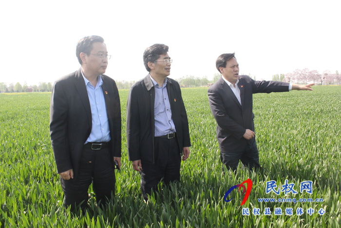 市委書記王戰(zhàn)營到我縣調(diào)研糧食生產(chǎn)工作時(shí)強(qiáng)調(diào):扛穩(wěn)糧食生產(chǎn)政治責(zé)任 確保奪取夏糧豐收 市委書記王戰(zhàn)營到我縣調(diào)研糧食生產(chǎn)工作時(shí)強(qiáng)調(diào):扛穩(wěn)糧食生產(chǎn)政治責(zé)任 確保奪取夏糧豐收