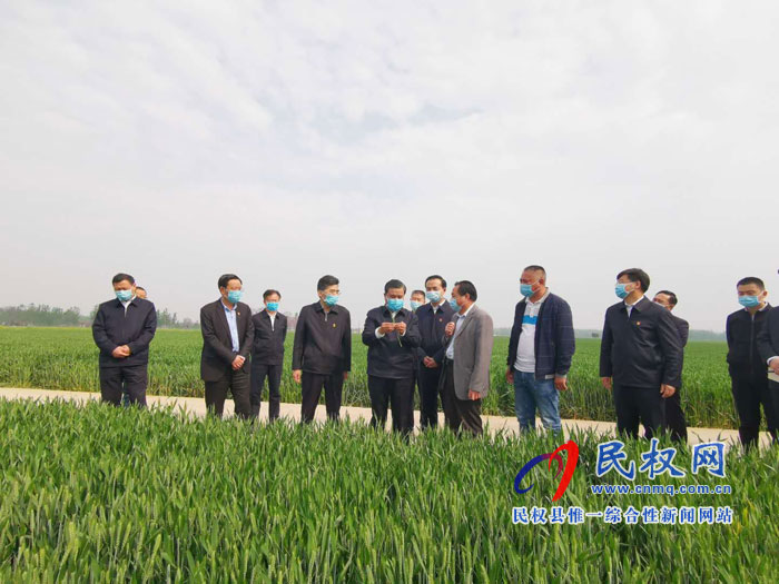 副省長武國定蒞調研夏糧生產工作時強調:打好小麥病蟲害防治硬仗 確保夏糧豐收糧食安全 副省長武國定蒞調研夏糧生產工作時強調:打好小麥病蟲害防治硬仗 確保夏糧豐收糧食安全