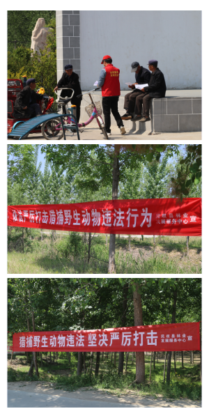 縣林業(yè)發(fā)展服務中心積極開展野生動物保護宣傳活動 縣林業(yè)發(fā)展服務中心積極開展野生動物保護宣傳活動