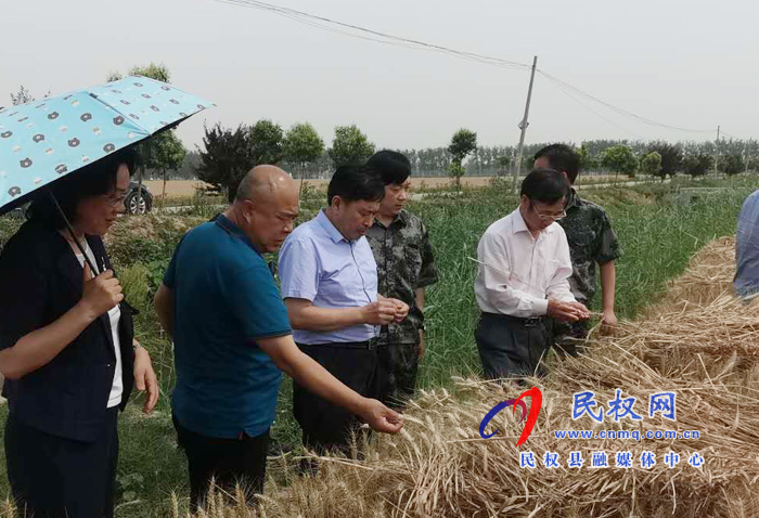 省國(guó)調(diào)隊(duì)到我縣調(diào)研夏糧生產(chǎn)等工作開(kāi)展情況 省國(guó)調(diào)隊(duì)到我縣調(diào)研夏糧生產(chǎn)等工作開(kāi)展情況
