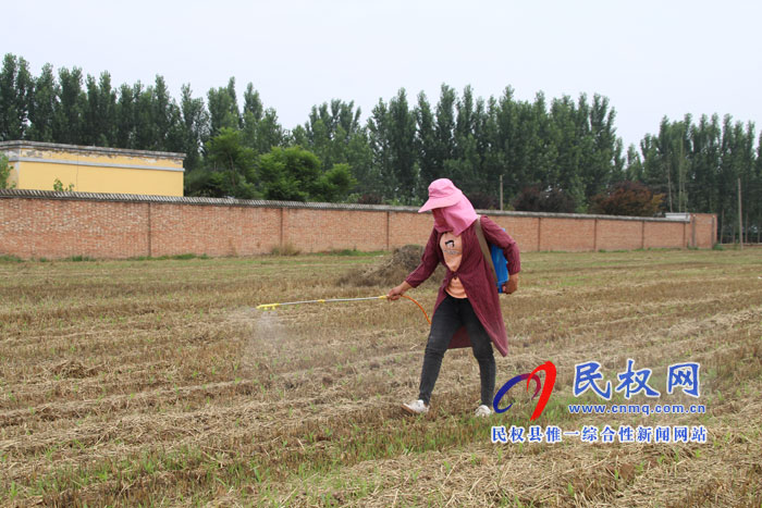 褚廟鄉(xiāng):抓住有利時機(jī) 掀起秋苗管理 褚廟鄉(xiāng):抓住有利時機(jī) 掀起秋苗管理
