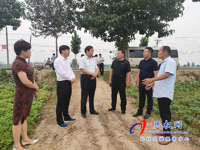 省農(nóng)業(yè)農(nóng)村廳黨組成員、總農(nóng)藝師王俊忠到我縣調(diào)研花生生產(chǎn)情況