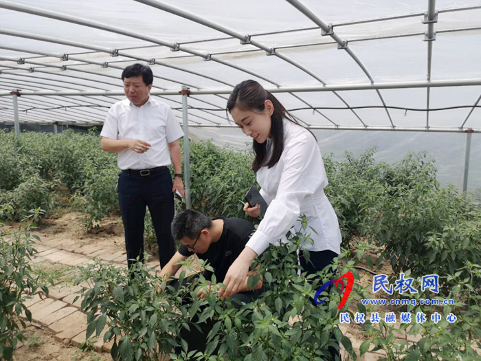 副縣長朱琳到老顏集鄉(xiāng)調(diào)研指導(dǎo)扶貧工作 副縣長朱琳到老顏集鄉(xiāng)調(diào)研指導(dǎo)扶貧工作