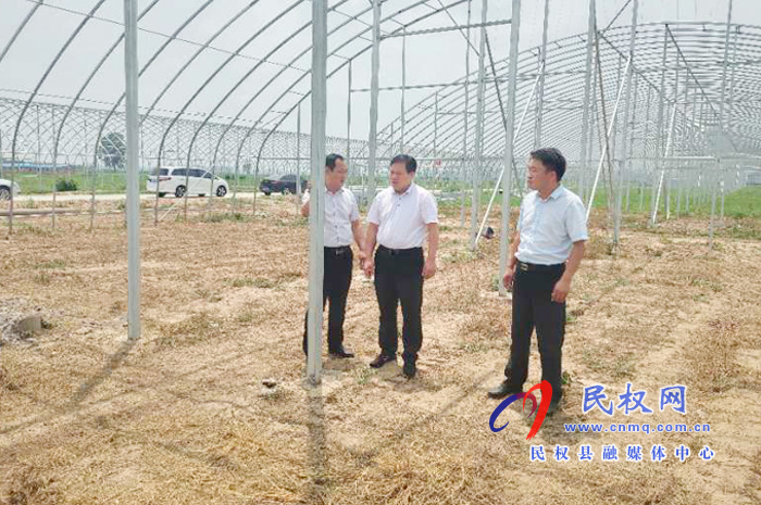 縣委常委、政法委書記、副縣長(zhǎng)孟祥亮到雙塔鎮(zhèn)實(shí)地查看大棚種植項(xiàng)目建設(shè)