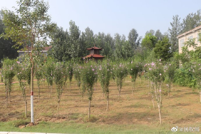 北關(guān)鎮(zhèn):建成首個鄉(xiāng)鎮(zhèn)文化體育公園 北關(guān)鎮(zhèn):建成首個鄉(xiāng)鎮(zhèn)文化體育公園