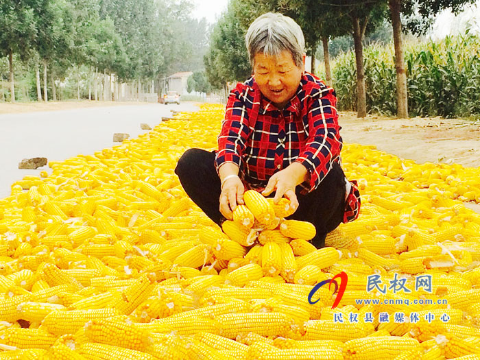 褚廟鄉(xiāng)精心組織推進三秋生產(chǎn) 褚廟鄉(xiāng)精心組織推進三秋生產(chǎn)