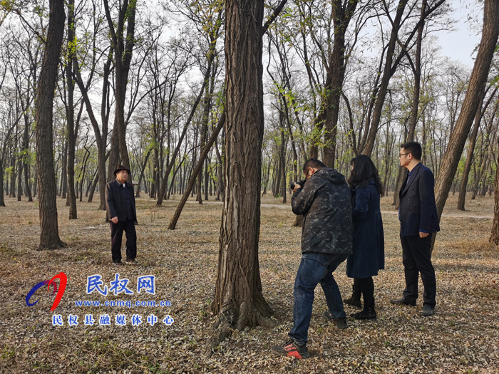 新華社河南分社社長王丁一行蒞臨我縣開展采風活動 新華社河南分社社長王丁一行蒞臨我縣開展采風活動