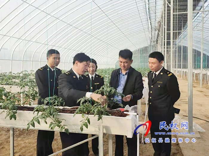 縣委常委、副縣長房季到雙塔鎮(zhèn)蘆筍大棚產(chǎn)業(yè)園調(diào)研產(chǎn)業(yè)發(fā)展