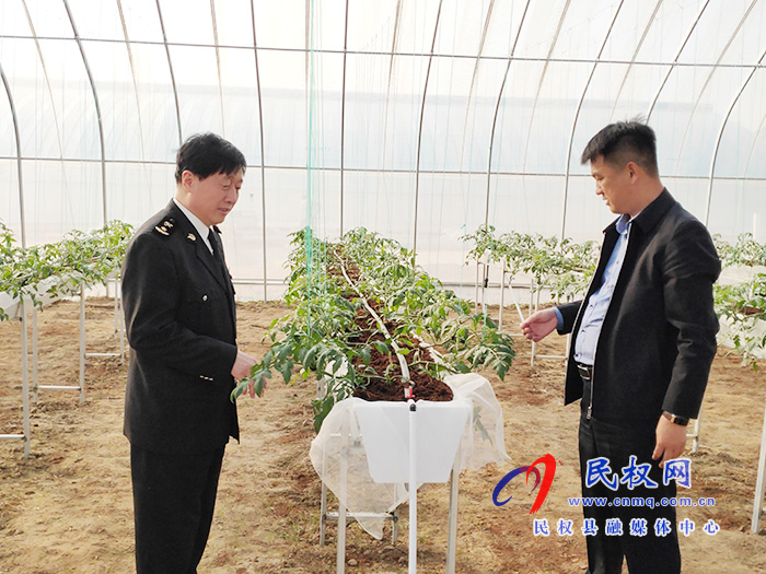 縣委常委、副縣長房季到雙塔鎮(zhèn)蘆筍大棚產(chǎn)業(yè)園調(diào)研產(chǎn)業(yè)發(fā)展
