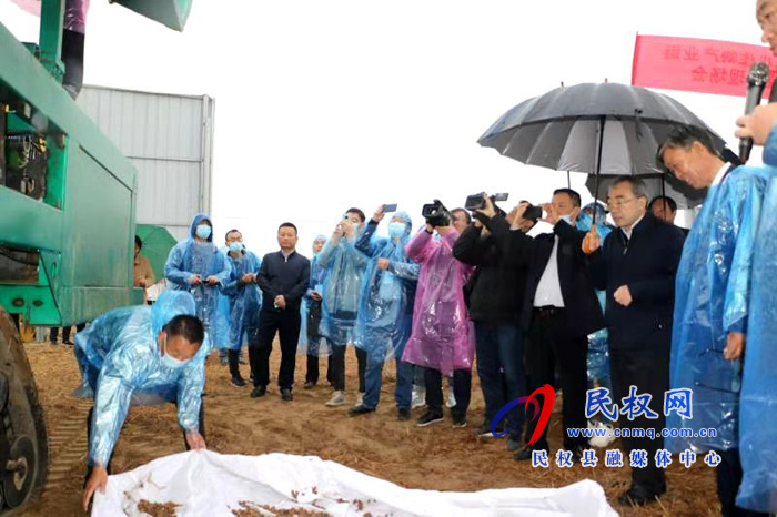油莎豆示范現場會暨項目推進會在民權舉行 油莎豆示范現場會暨項目推進會在民權舉行
