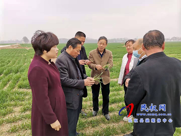莊子鎮(zhèn)舉辦優(yōu)質(zhì)專用小麥生產(chǎn)基地項目技術(shù)培訓(xùn)會 莊子鎮(zhèn)舉辦優(yōu)質(zhì)專用小麥生產(chǎn)基地項目技術(shù)培訓(xùn)會