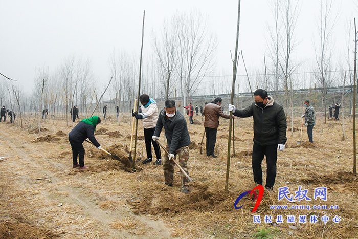 人和鎮(zhèn)組織開展義務(wù)植樹活動 人和鎮(zhèn)組織開展義務(wù)植樹活動
