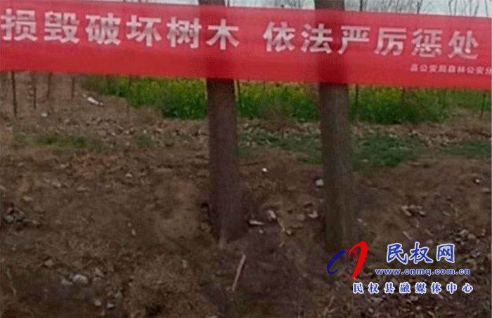 林業(yè)發(fā)展服務(wù)中心開展打擊破壞森林資源專項行動 林業(yè)發(fā)展服務(wù)中心開展打擊破壞森林資源專項行動