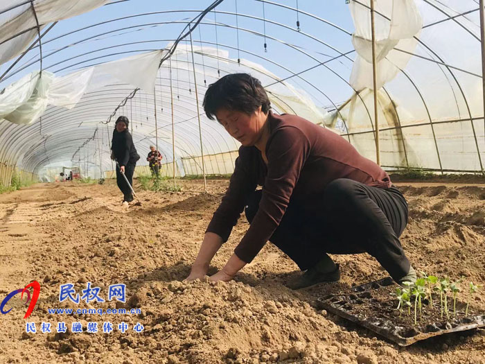 孫六鎮(zhèn):大棚春種春耕忙生產(chǎn) 孫六鎮(zhèn):大棚春種春耕忙生產(chǎn)