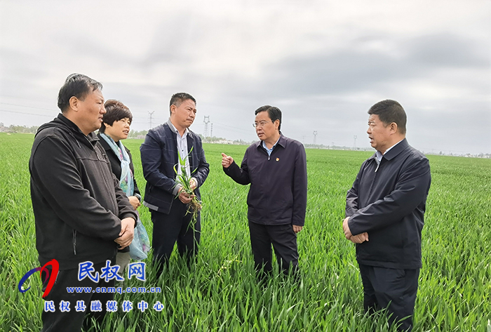 市人大常委會(huì)副主任、縣委書記姬脈常察看春季農(nóng)業(yè)生產(chǎn)及高標(biāo)準(zhǔn)糧田建設(shè)工作