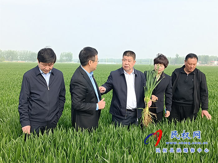 全縣小麥“兩病一寒”防治現(xiàn)場會及人居環(huán)境整治提升推進(jìn)會召開 全縣小麥“兩病一寒”防治現(xiàn)場會及人居環(huán)境整治提升推進(jìn)會召開