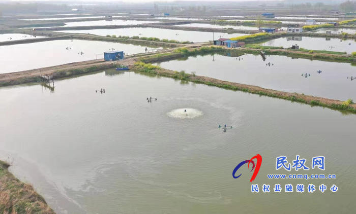 莊子鎮(zhèn):萬畝黃河故道背河洼地美不勝收 莊子鎮(zhèn):萬畝黃河故道背河洼地美不勝收