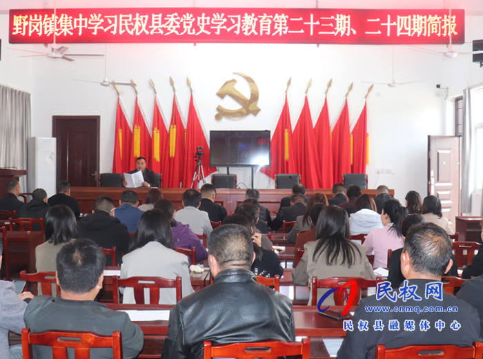 【我為群眾辦實(shí)事】野崗鎮(zhèn)黨史學(xué)習(xí)教育凝聚砥礪奮進(jìn)力量