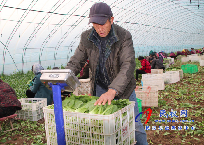 褚廟鄉(xiāng)“五個聚焦”促進返鄉(xiāng)創(chuàng)業(yè)就業(yè) 褚廟鄉(xiāng)“五個聚焦”促進返鄉(xiāng)創(chuàng)業(yè)就業(yè)