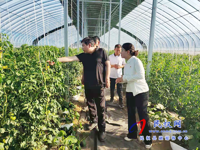 副縣長陳進領到雙塔鎮(zhèn)調研高效農業(yè)科技產(chǎn)業(yè)園建設發(fā)展情況 副縣長陳進領到雙塔鎮(zhèn)調研高效農業(yè)科技產(chǎn)業(yè)園建設發(fā)展情況