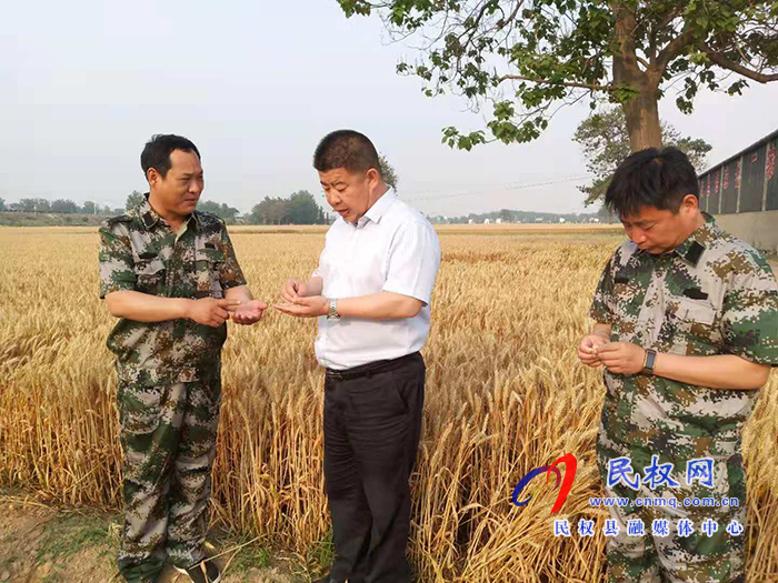 副縣長張士彬到白云寺鎮(zhèn)督導(dǎo)“三夏”生產(chǎn)暨秸稈禁燒工作 副縣長張士彬到白云寺鎮(zhèn)督導(dǎo)“三夏”生產(chǎn)暨秸稈禁燒工作