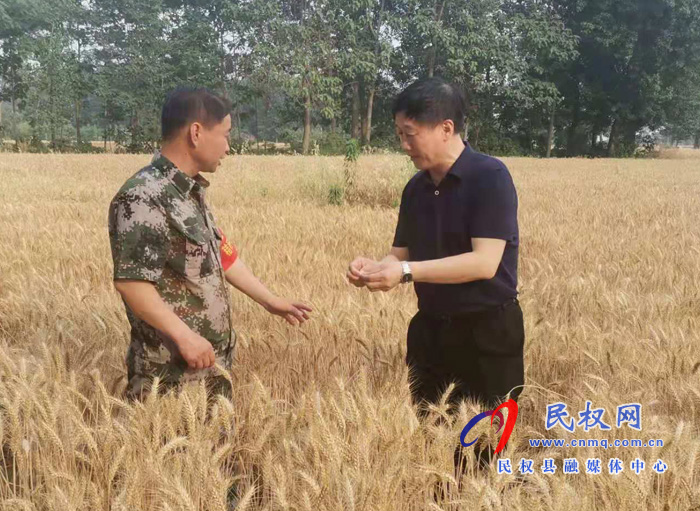 縣委常委、副縣長房季到龍?zhí)伶?zhèn)檢查督導三夏生產、秸稈禁燒工作
