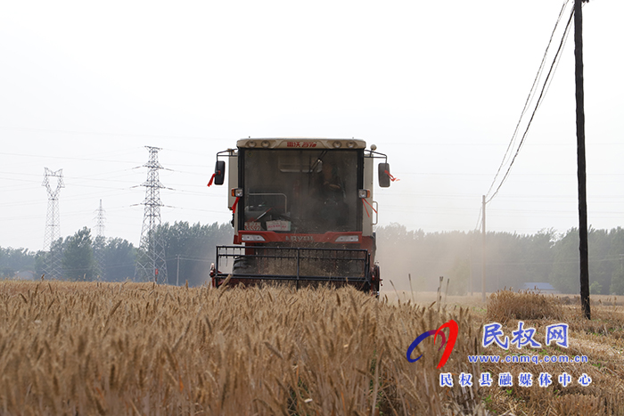 縣委副書記、縣長(zhǎng)張團(tuán)結(jié)查看“三夏”生產(chǎn)工作