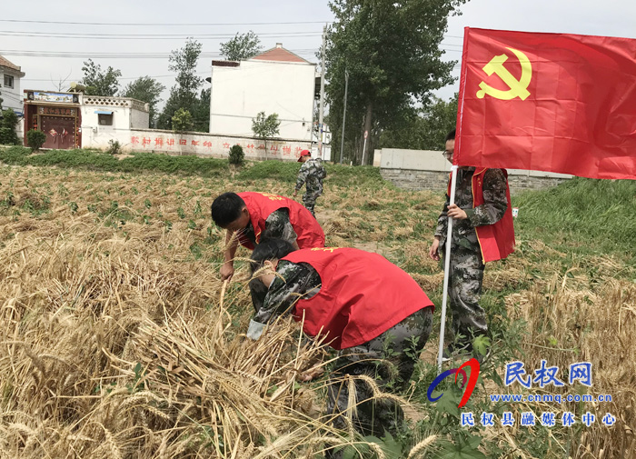 林七鄉(xiāng):辦實事爭先鋒 志愿服務(wù)隊活躍在田間地頭 林七鄉(xiāng):辦實事爭先鋒 志愿服務(wù)隊活躍在田間地頭