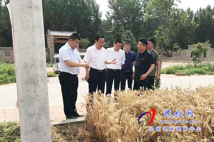 市人大常委會副主任、縣委書記姬脈常到我縣部分鄉(xiāng)鎮(zhèn)查看“三夏”生產(chǎn)工作