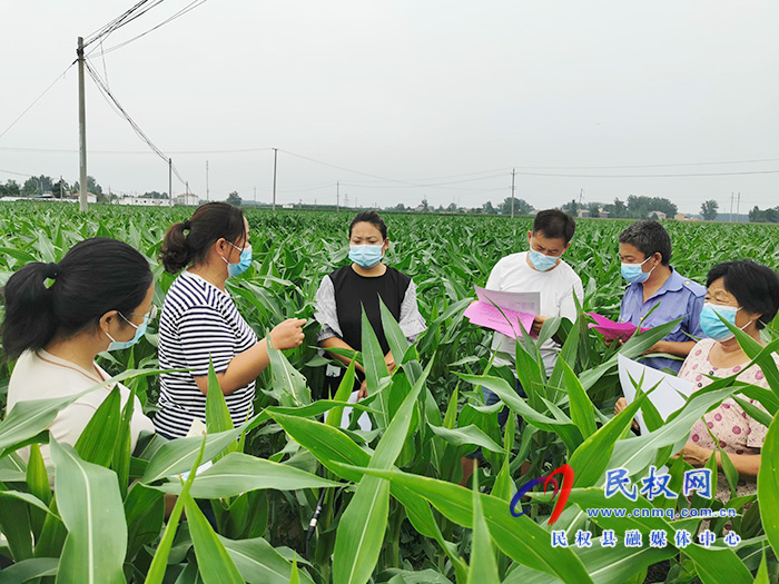 民權(quán):技術(shù)專家走進(jìn)田間地頭 指導(dǎo)農(nóng)民田間科學(xué)管理 民權(quán):技術(shù)專家走進(jìn)田間地頭 指導(dǎo)農(nóng)民田間科學(xué)管理