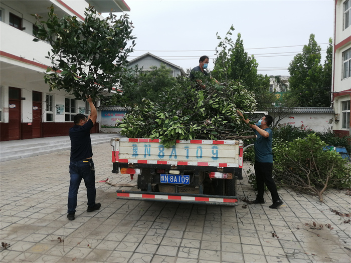 民權(quán)縣第三小學(xué)積極做好夏季防汛救災(zāi)準(zhǔn)備工作 民權(quán)縣第三小學(xué)積極做好夏季防汛救災(zāi)準(zhǔn)備工作