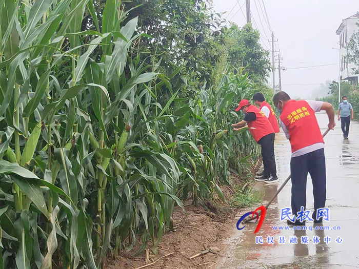 林七鄉(xiāng)：黨員幫扶群眾雨后農田排澇