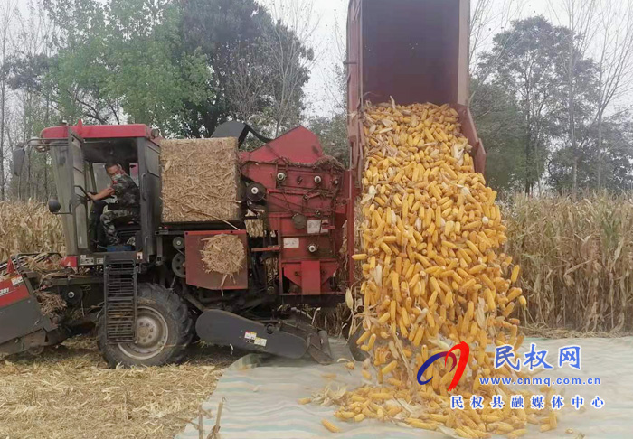 莊子鎮(zhèn):扎實抓好秋糧生產(chǎn)各項工作 莊子鎮(zhèn):扎實抓好秋糧生產(chǎn)各項工作