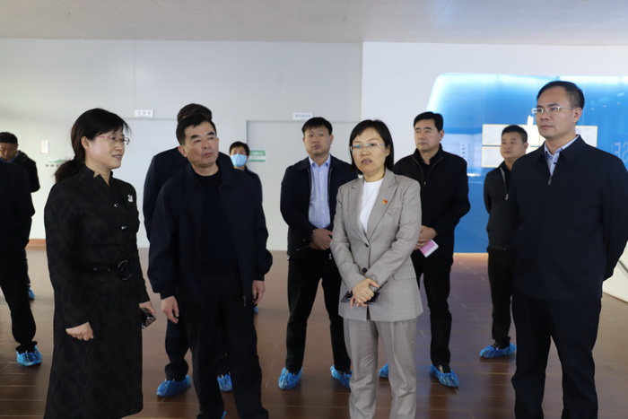 縣委副書記、縣長王靜嫻調(diào)深入高新區(qū)企業(yè)調(diào)研