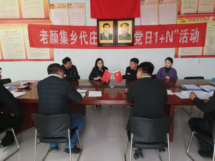 副縣長朱琳、李天樁到老顏集鄉(xiāng)督導脫貧攻堅后評估工作、整村推進和人居環(huán)境整治工作