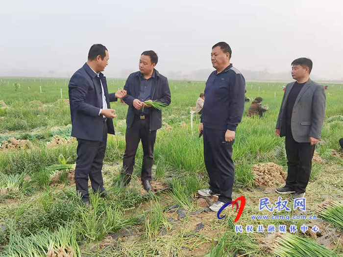 副縣長(zhǎng)李衛(wèi)政到白云寺鎮(zhèn)調(diào)研土地流轉(zhuǎn)和高標(biāo)準(zhǔn)良田建設(shè)工作