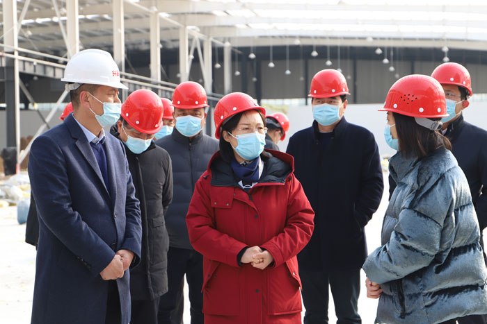 縣委副書記、縣長王靜嫻調(diào)研企業(yè)建設(shè)進展情況